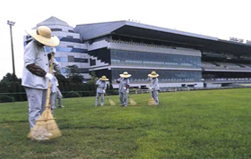 中京競馬場／保守管理作業