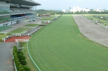中京競馬場／保守管理作業