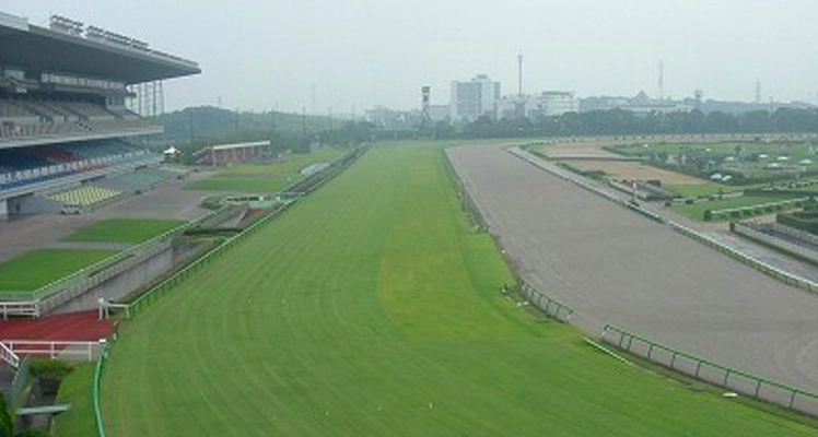 造園