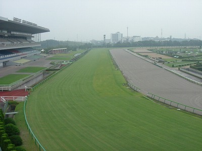 中京競馬場　芝張り替え工事