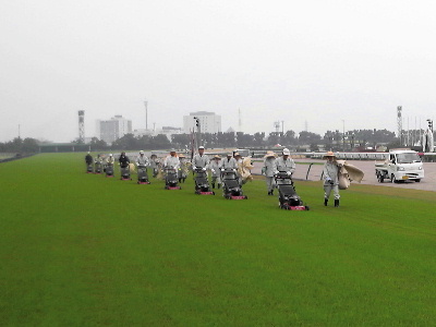 中京競馬場内保守管理作業：芝コースの芝刈り作業