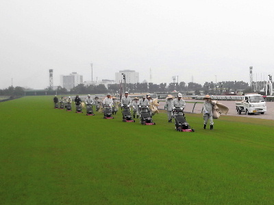 中京競馬場内保守管理作業：芝コースの芝刈り作業