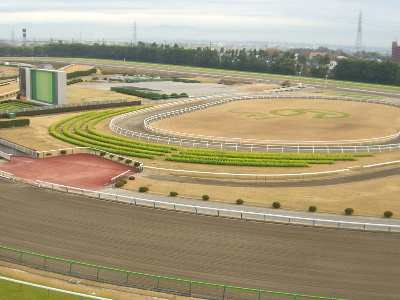 中京競馬場内保守管理作業：花係の作業