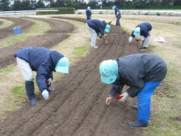 クリックで拡大表示