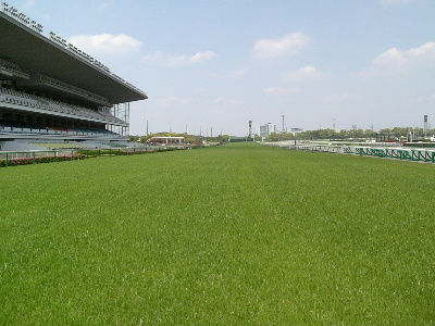 中京競馬場内保守管理作業：芝コース　洋芝播種作業