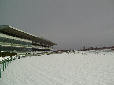 中京競馬場内保守管理作業：競馬開催　除雪作業