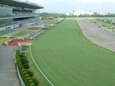 中京競馬場内保守管理作業：その他