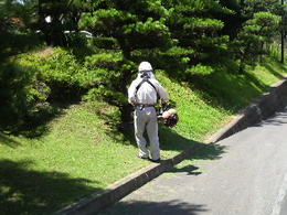 クリックで拡大表示