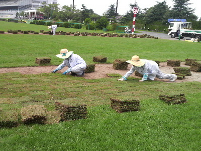 中京競馬場内保守管理作業：その他