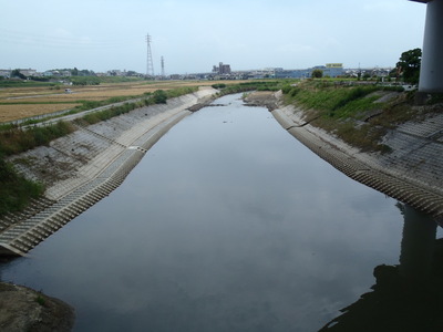 総合治水対策特定河川工事（交付金・全国防災）（3号工）